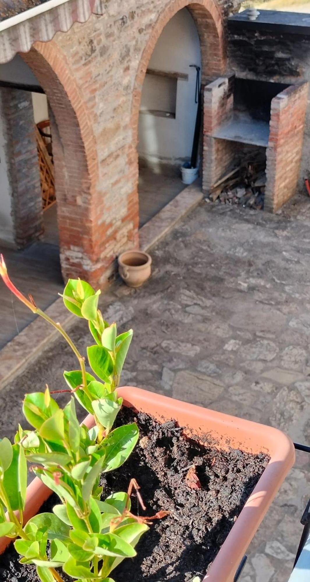 Willa Camugnano Farm Rapolano Terme Zewnętrze zdjęcie